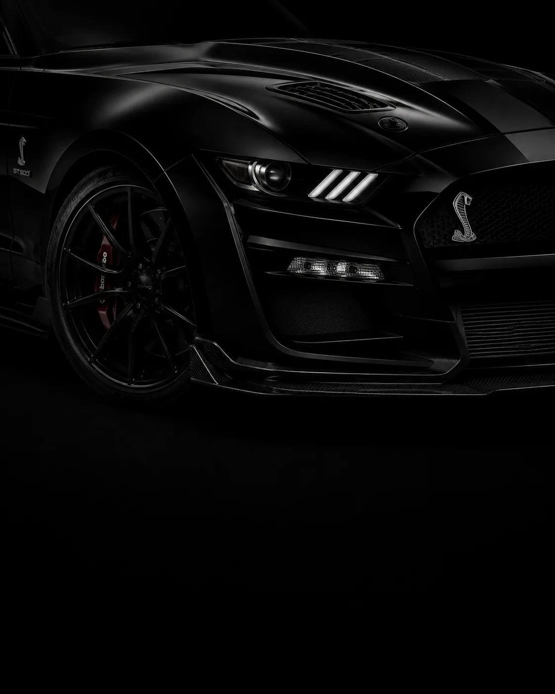 Ford Shelby specialist support at AutoTronix, Muscat